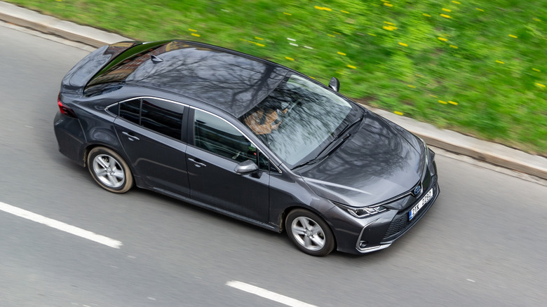 Why choose used Toyota Corolla models for daily commuting needs?